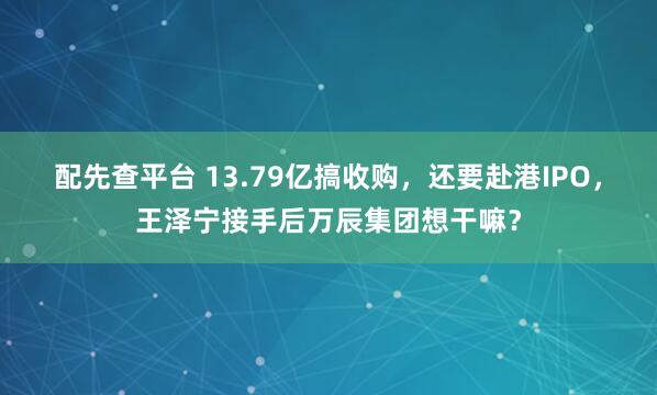 配先查平台 13.79亿搞收购，还要赴港IPO，王泽宁接手后万辰集团想干嘛？