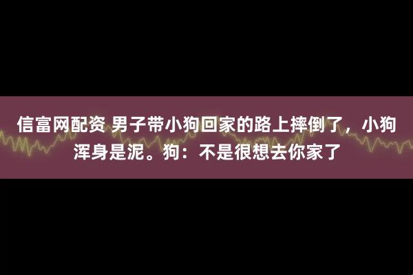 信富网配资 男子带小狗回家的路上摔倒了，小狗浑身是泥。狗：不是很想去你家了