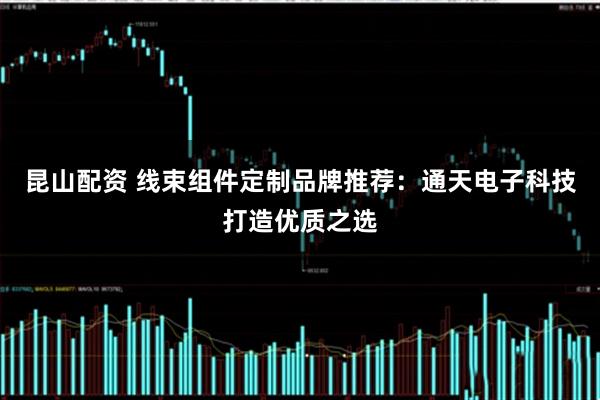 昆山配资 线束组件定制品牌推荐：通天电子科技打造优质之选